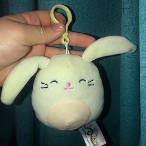3.5 Sebastian squishmallow clip